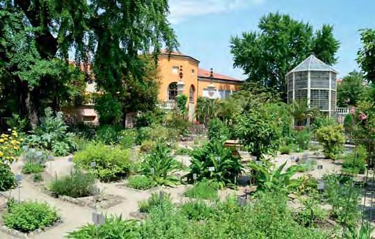 Nejstarší Akademická Botanická Zahrada